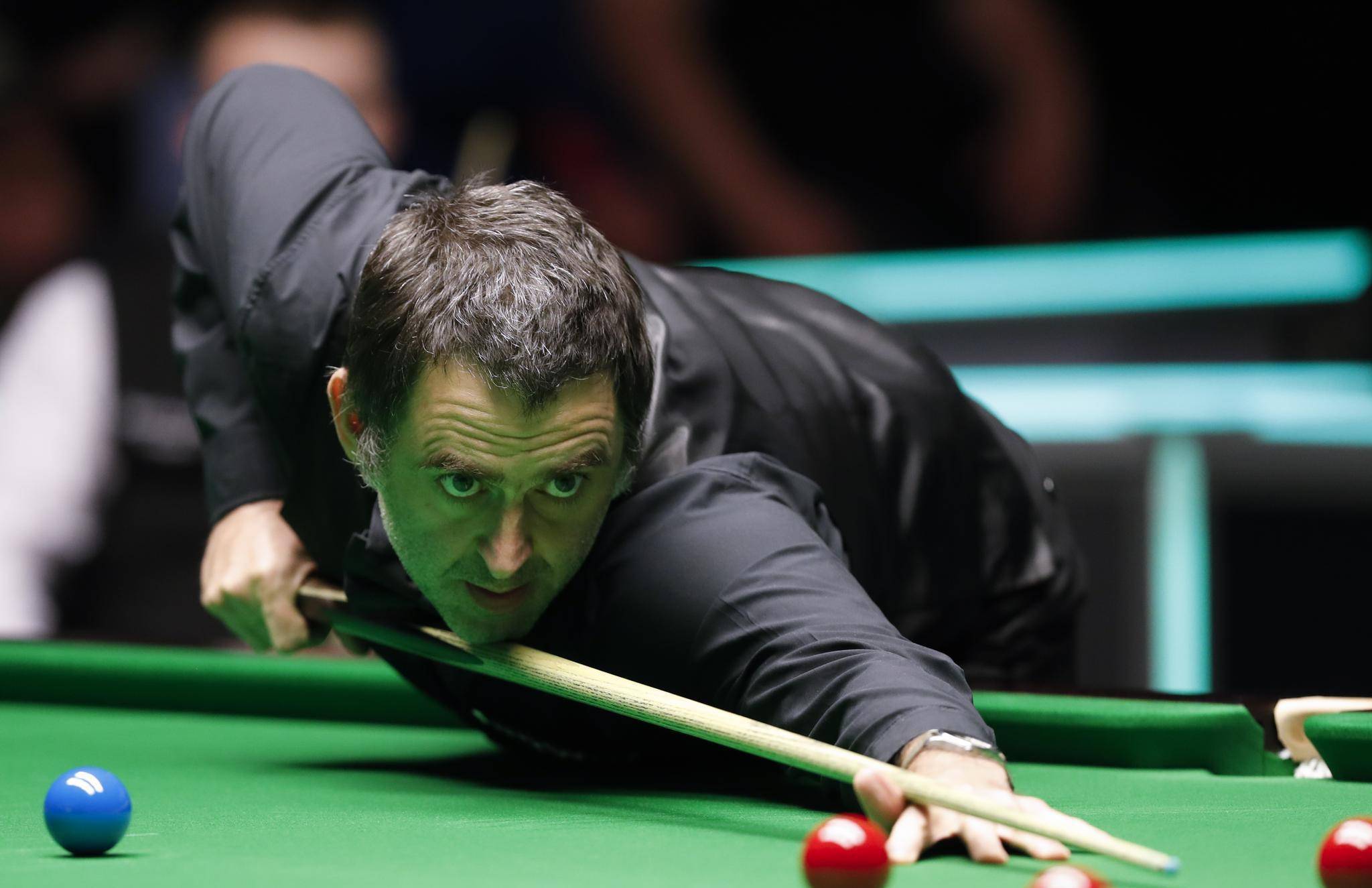 明了这条 明了这条